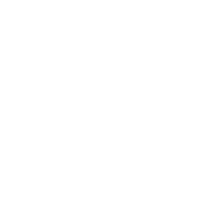 The Salt Room logo